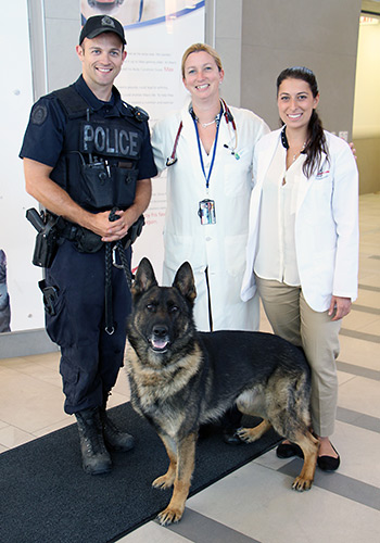 Guelph Police Service dogs receive special care at the Ontario Veterinary College.