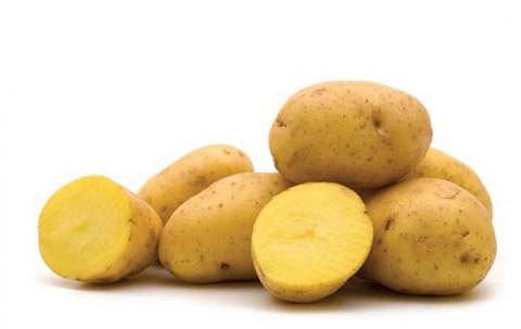Potatoes-Yukon-Gold-copy