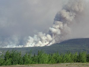 wildfire1