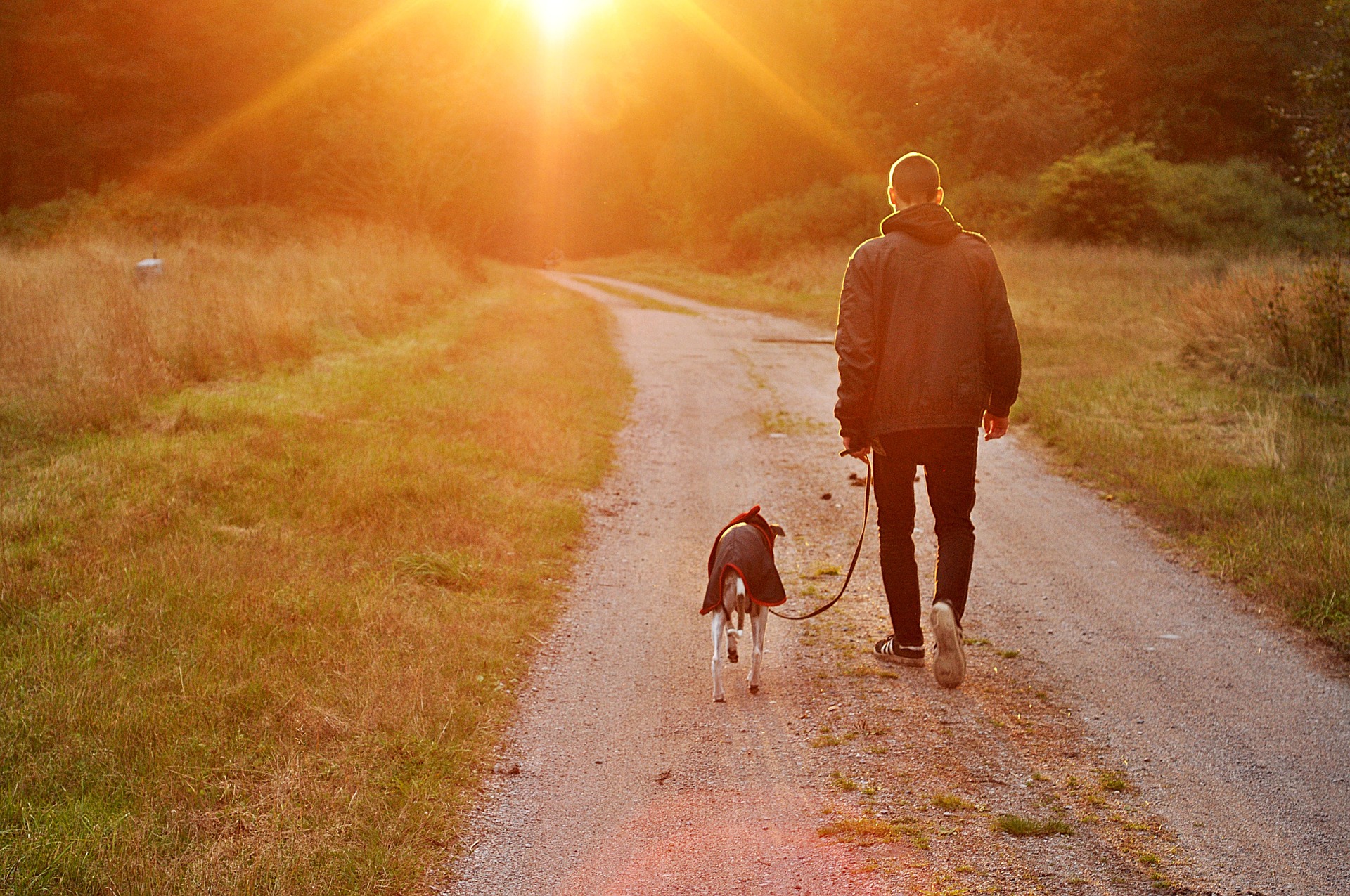 Man walking with dog at sunset