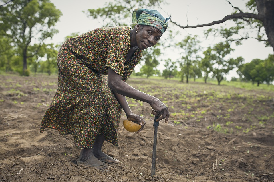 Rural African woman crouches down as she plants seeds in the dirt
