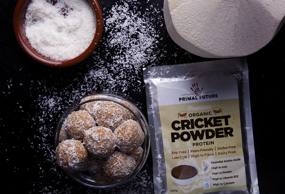 Cricket protein powder in a bag next to some baked goods