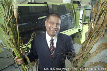Prof. Amar Mohanty holding up corn stalks