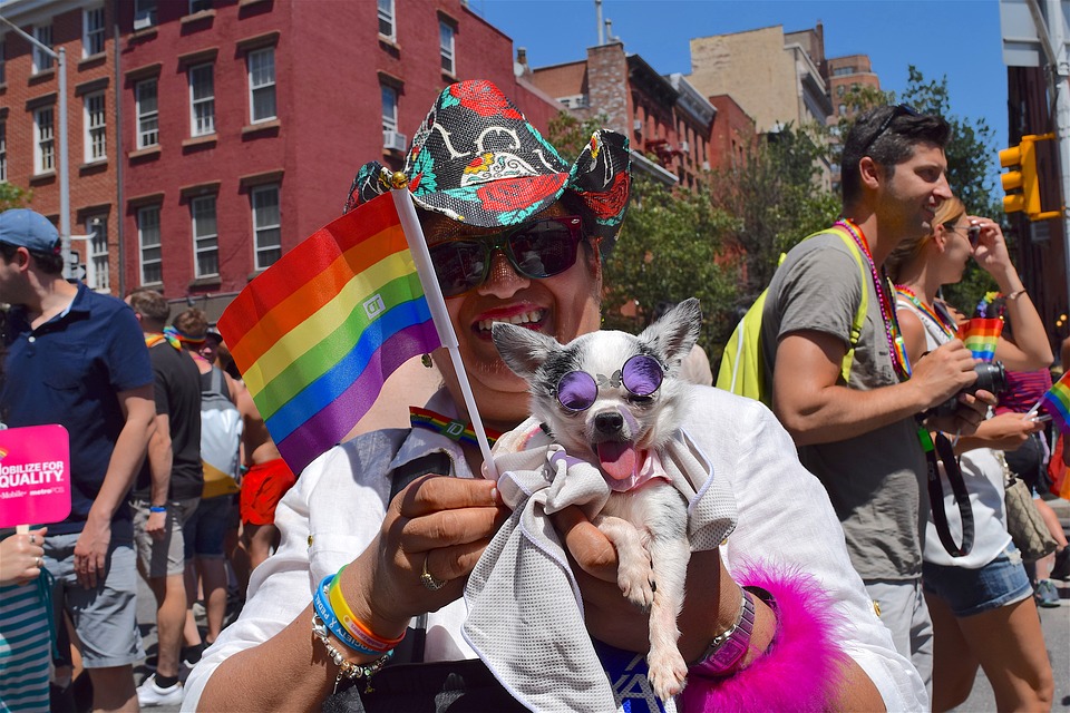 person at Pride parade in NYC holding small dog and small rainbow flag