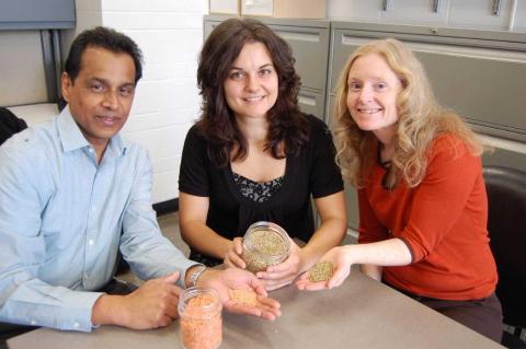 photo of Dan Ramdath, Dita Morvek and Alison Duncan holding lentils in their hands