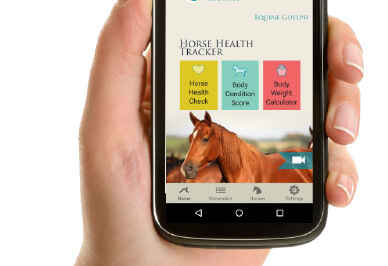 New App Helps Horse Owners Monitor Vital Health Data