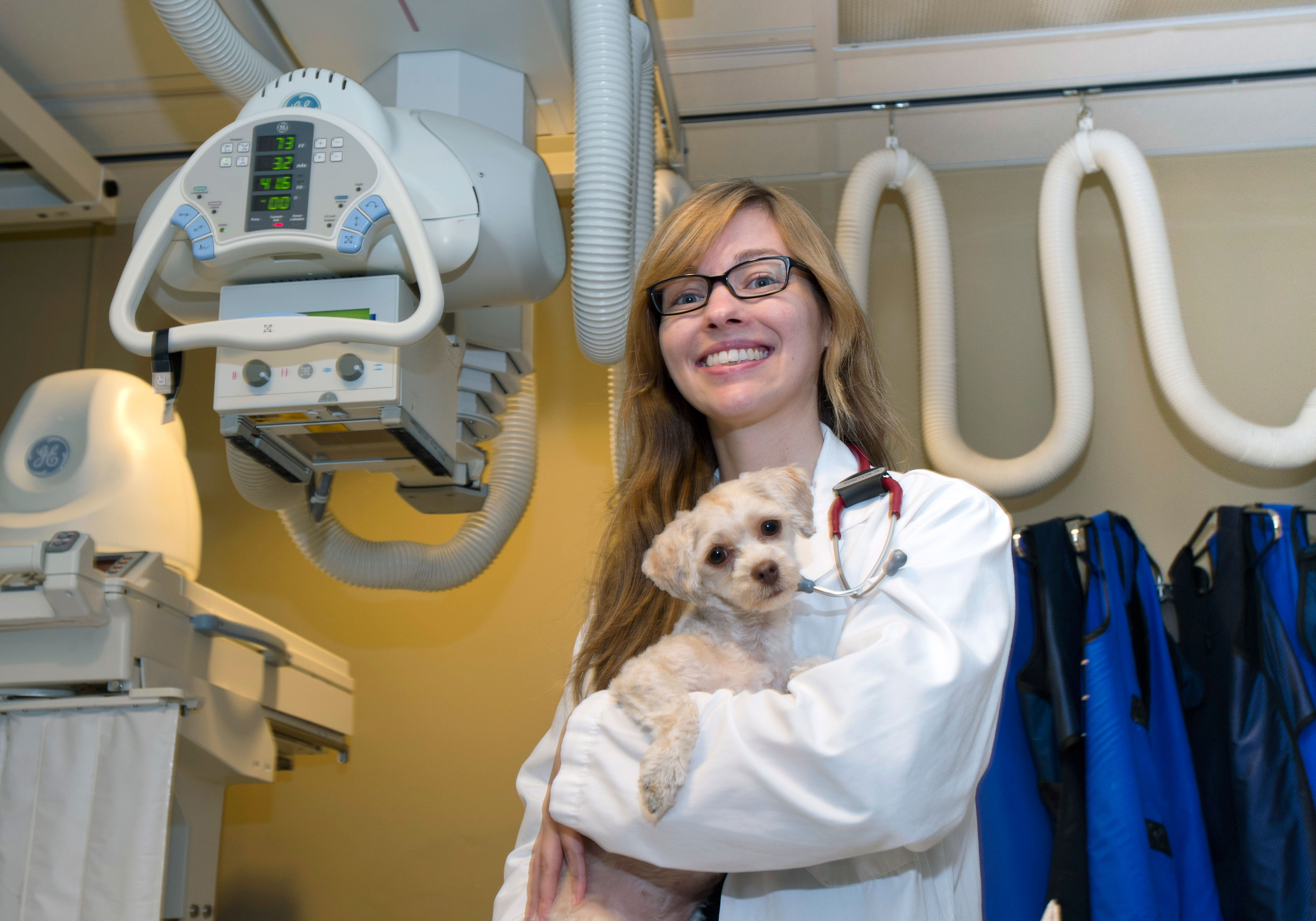 University of Guelph professor Michelle Oblak used titanium mesh to protect the brain of companion dog Ella, who is now thriving.