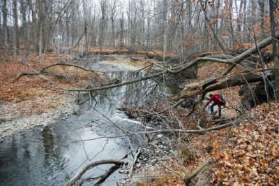 Stream Restoration Research Aims to Restore Habitat of Endangered Species