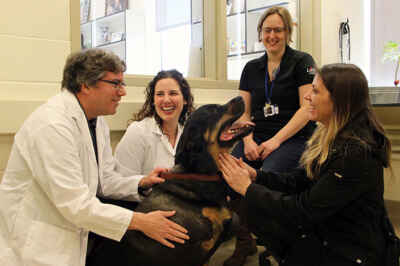 OVC Cancer Research Making Headlines, Aims to Help Dogs, People