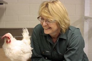 Animal Biosciences Profs Discuss Cage-Free Eggs in Globe and Mail