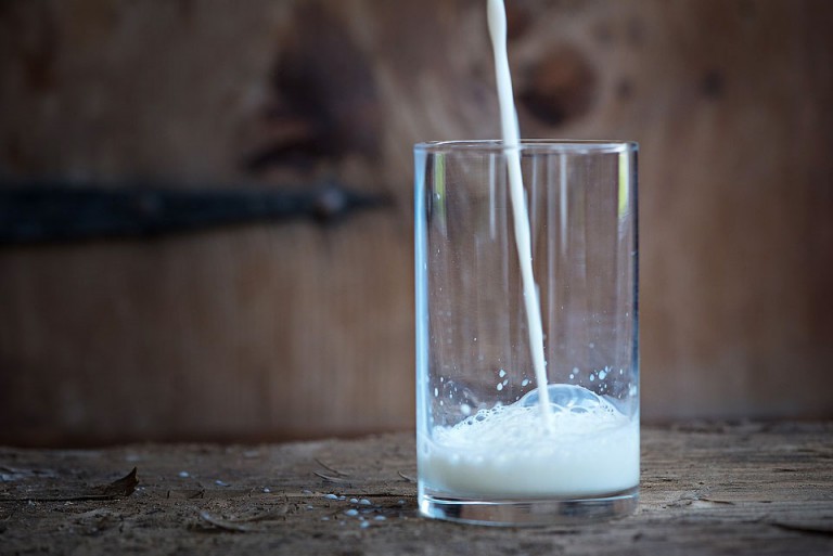 Research Aims to Reduce Iodine Levels in Milk U of G News