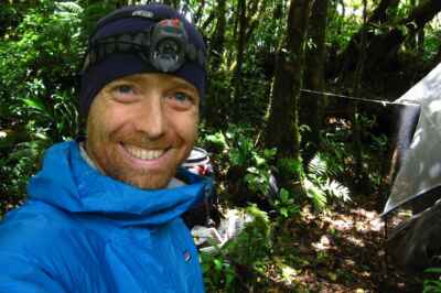 Prof Helps Discover 20 Species of Wasps in Costa Rica