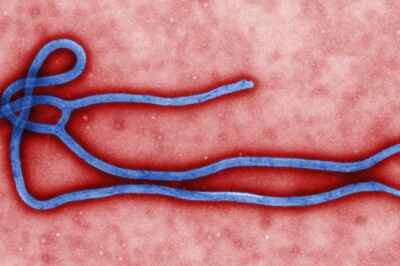 U of G Researchers Working to Combat Future Ebola Epidemics