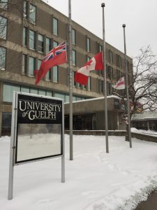 Flags at half-mast in front of the University Centre