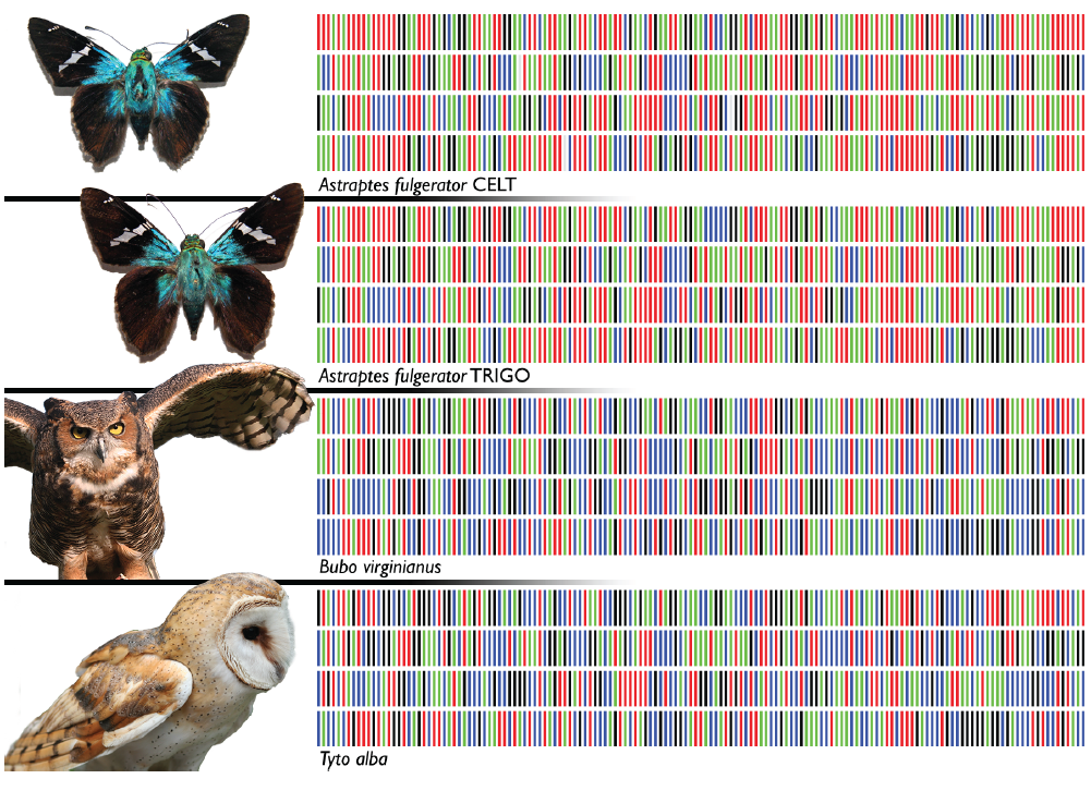 DNA Barcoding Part Of UN Biodiversity Strategic Plan - U Of G News