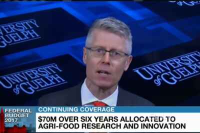 Research Vice-President Discusses Federal Budget, Agri-Food Innovation with BNN