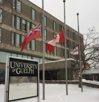 University of Guelph flags at half mast