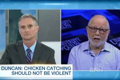 Animal Biosciences Emeritus Prof Talks to BNN About Chicken Welfare