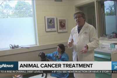 Animal Cancer Centre Featured on CityNews