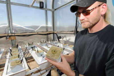 ‘Plants in Space’ Researcher in National Post