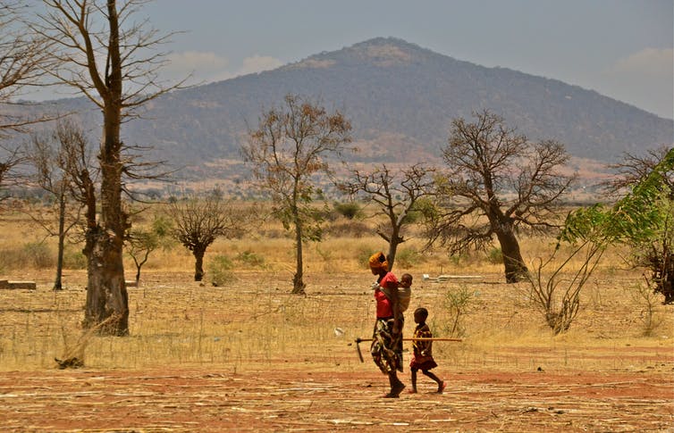Woman walking in Tanzania with babies on back carrying scythe