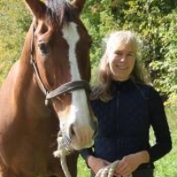 Happy Horses: U of G Prof Talks to Gizmodo About New French Study
