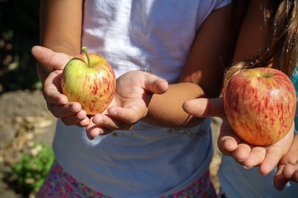 two kids, holding one apple each in their palm 