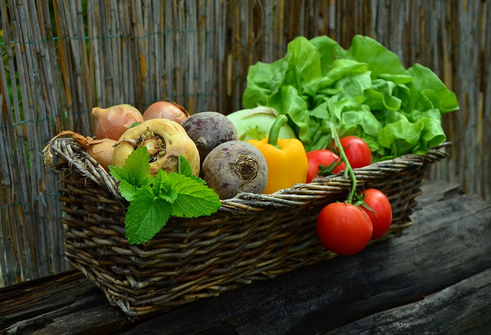 basket of fresh veggies and herbs: mint, rutabaga, parsnip, tomatoes, lettuce, onions, beets, pepper