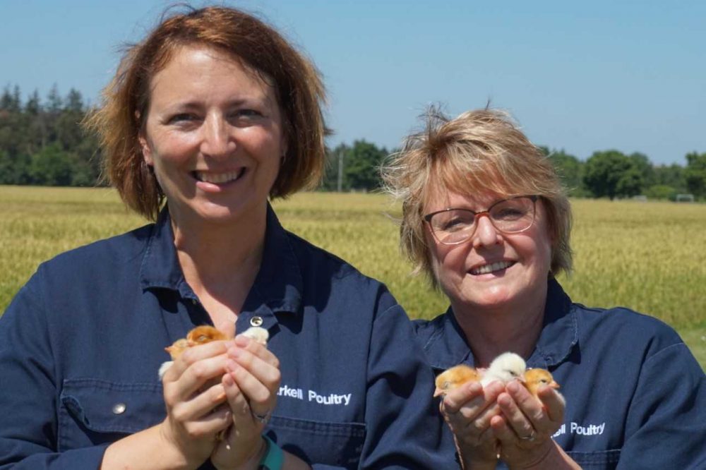 Senior research associate Stephanie Torrey and Prof. Tina Widowski holding chicks involved in a research project aimed at improving broiler chickens' health and welfare