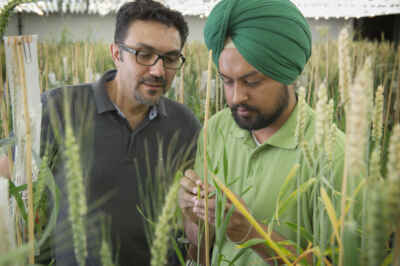 U of G Earns High Global Ranking for Agricultural Sciences