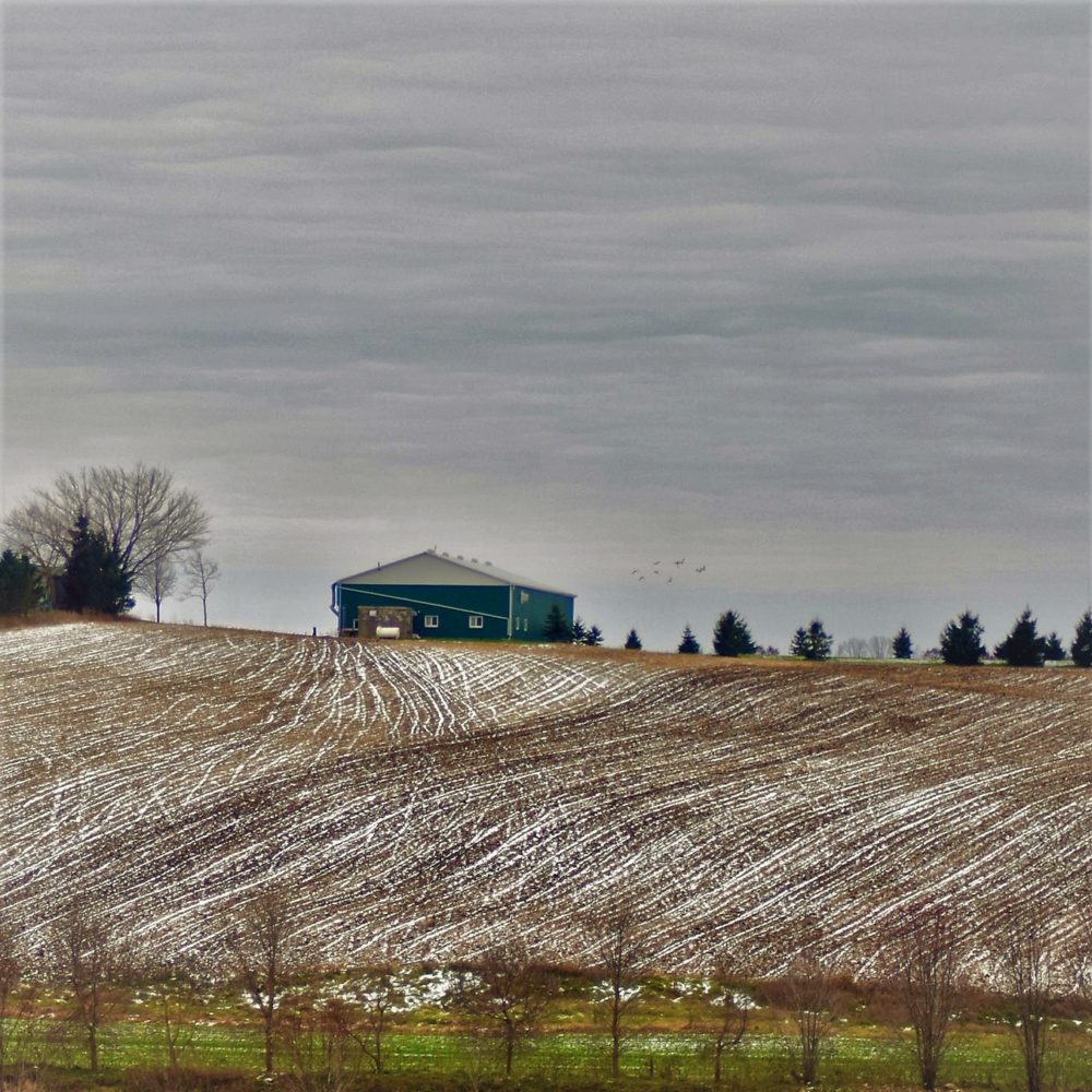 photo of farm land with barn and trees in the distance