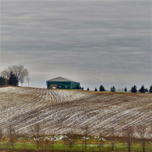 photo of farm land with barn and trees in the distance