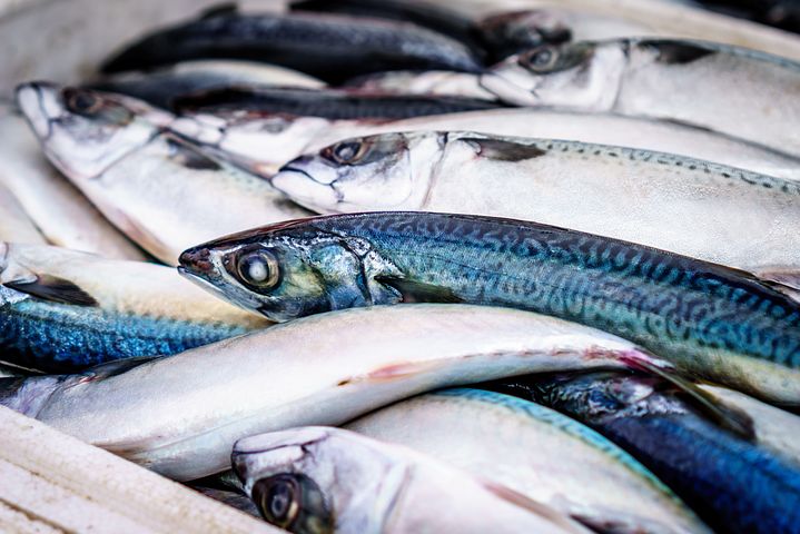 Seafood Mislabelling Persists Throughout Canada’s Supply Chain, Study Reveals