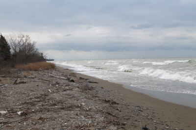 Report Warns of Far-Reaching Climate Change Impacts on Great Lakes Region