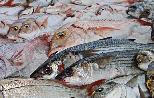 a photo of fish in a market