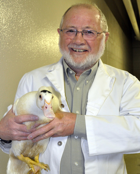 A photo of Prof. Emeritus Ian Duncan holding a duck