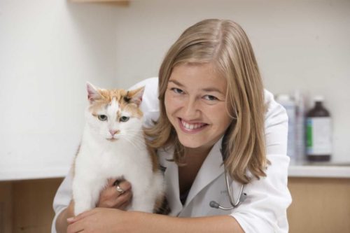 photos of Prof. Adronie Verbrugghe smiling with a cat in her arms