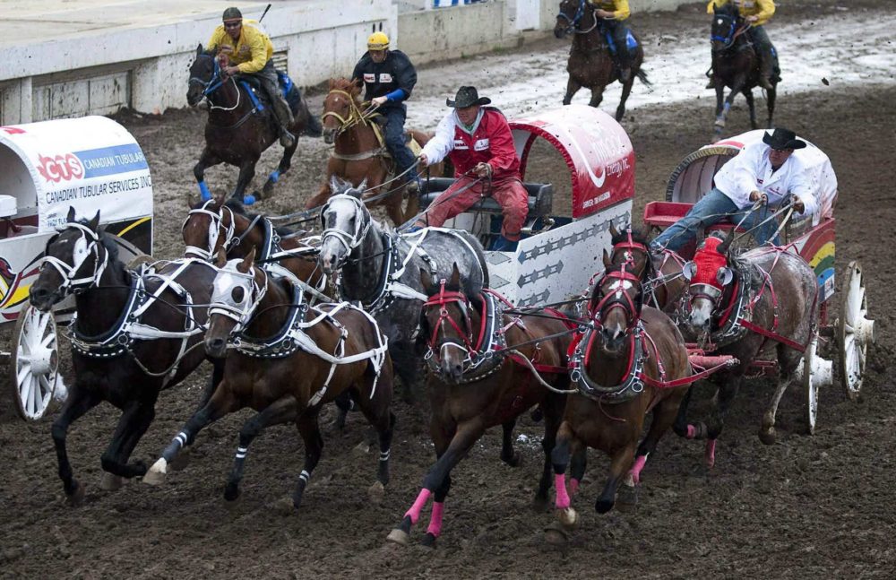 Driver Rae Croteau Jr. guides his team around the second barrel during chuckwagon racing action at the Calgary Stampede