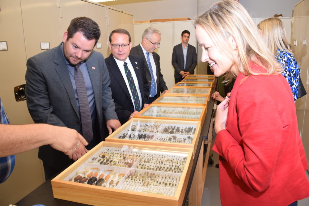 Group shot with insects