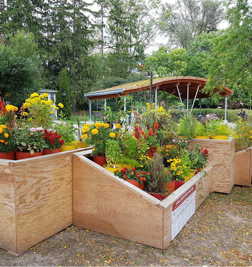 Plaza Pops installation