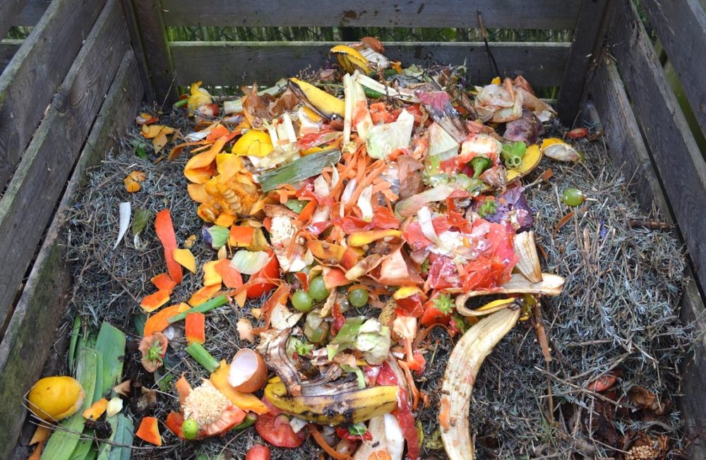 A compost bin with food waste.
