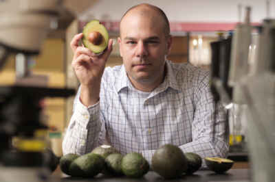 Avocados May Help Manage Obesity, Prevent Diabetes, U of G Study Reveals