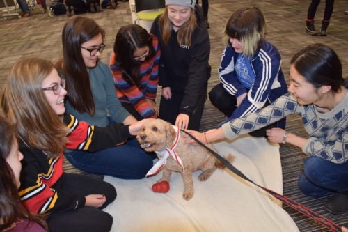 Students form a circle around a comfort dog