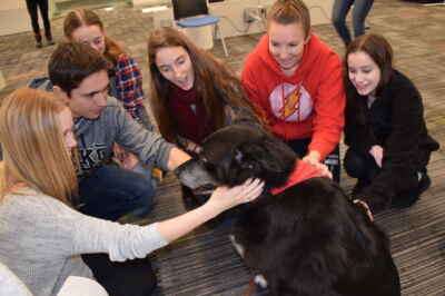 Expanded Take a Paws Offers More Dog Cuddling at U of G