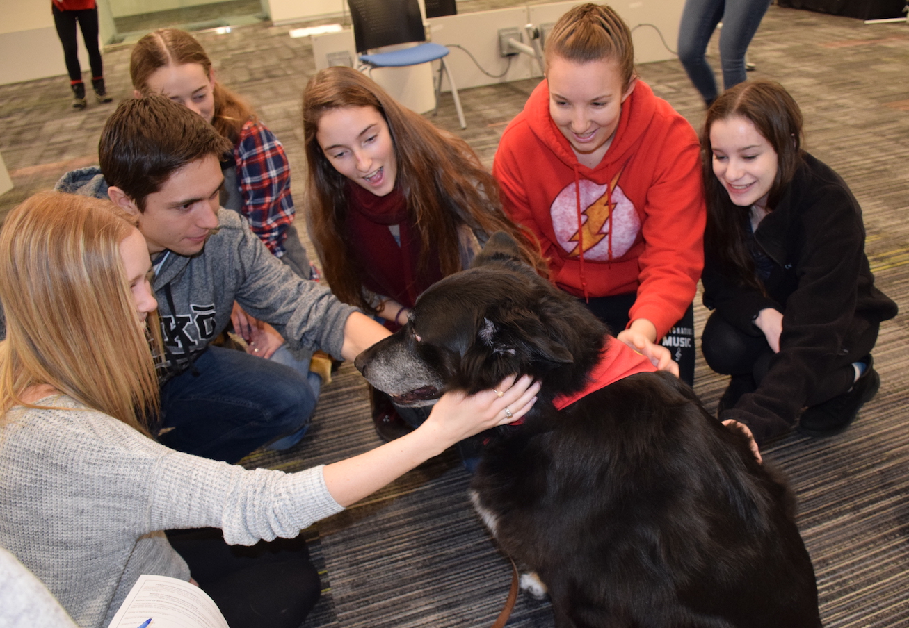 Expanded Take a Paws Offers More Dog Cuddling at U of G - U of G News