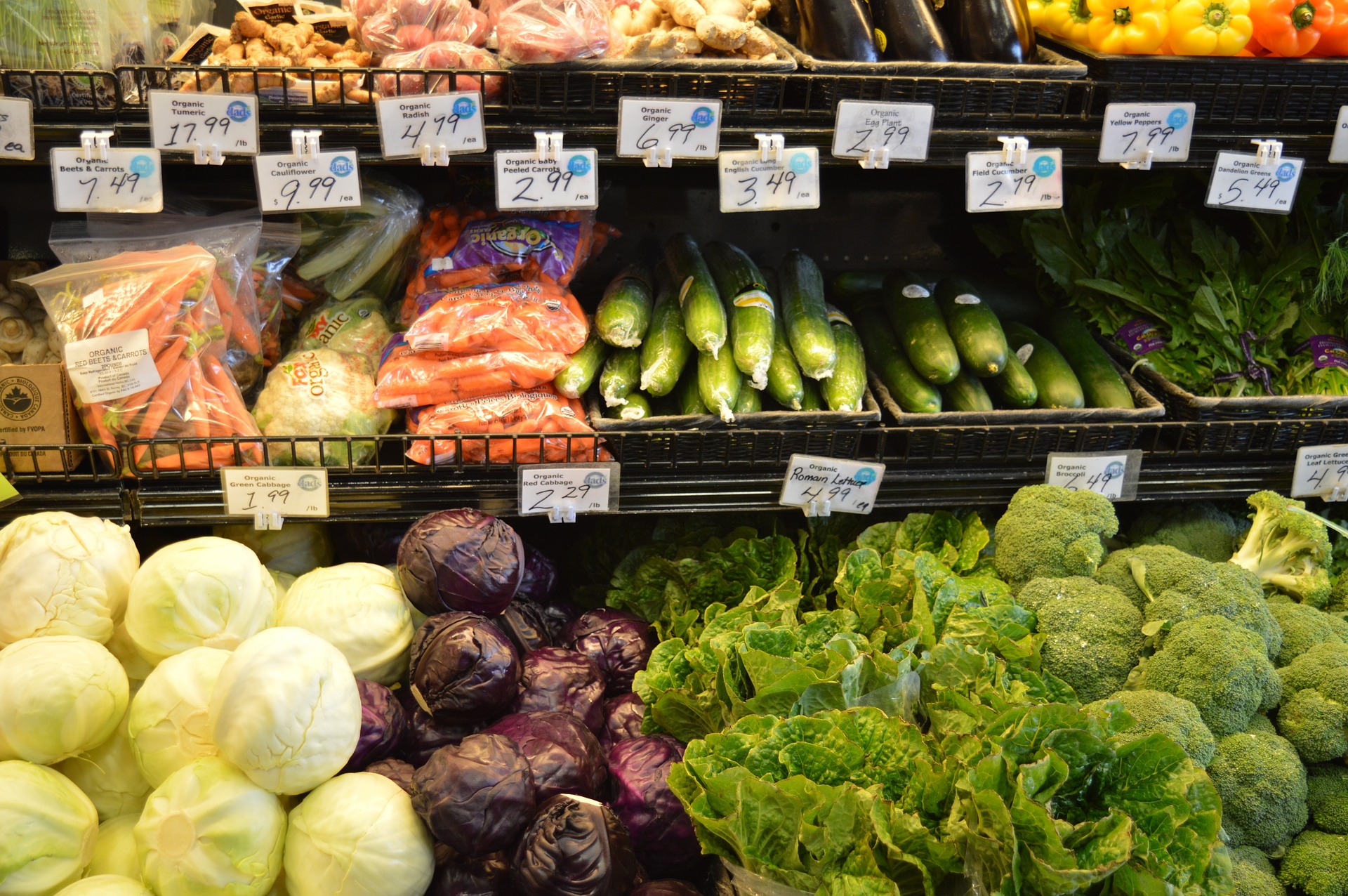 Imported Produce Driving Up Canadians’ Grocery Bills: 2020 Food Price Report