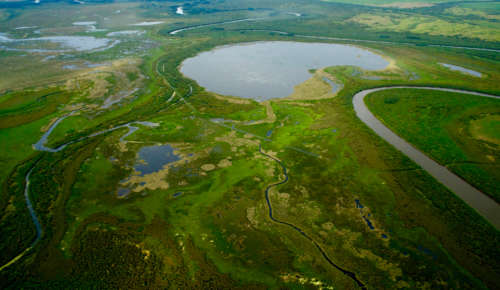Scene of wetlands from above