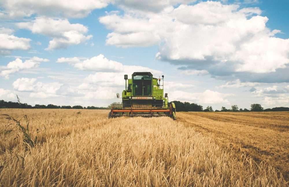 Combine tractor in a grain field
