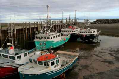 As COVID-19 Threatens Seafood Economy, Community Fisheries Find Ways to Stay Afloat