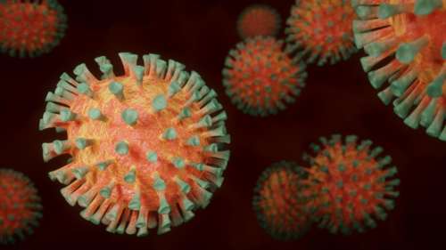 Microscopic image of coronavirus